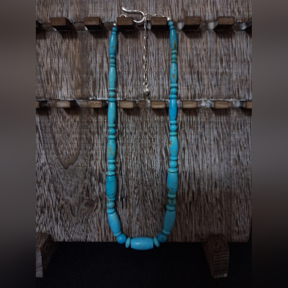 Jay King Mine Finds DTR .925 Turquoise Multi Bead Necklace